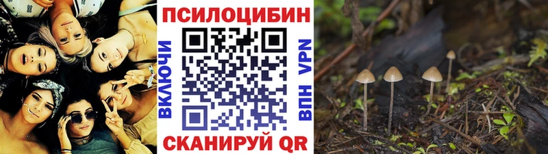 Галлюциногенные грибы мухоморы Зерноград