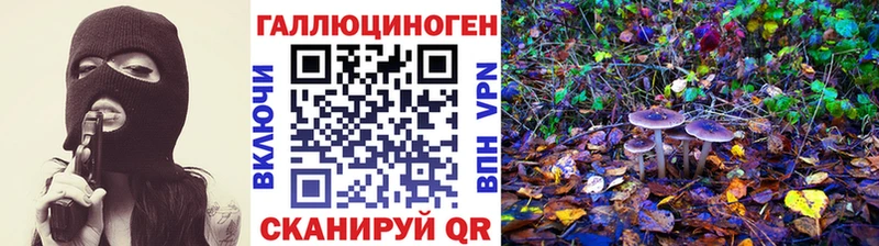 Галлюциногенные грибы прущие грибы  Зерноград 